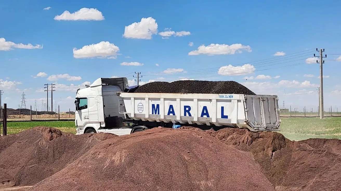 الخفاف