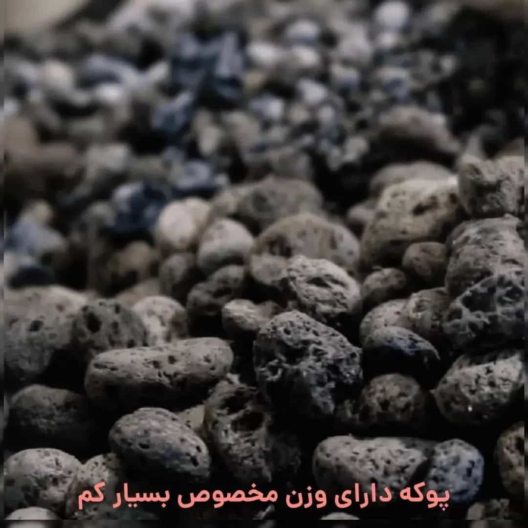 1690278989414.webp